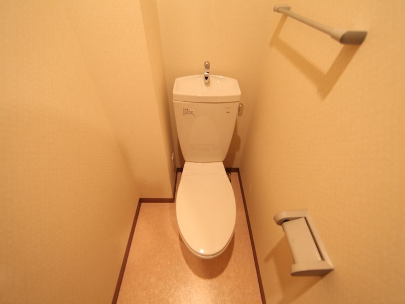 Toilet. Warm water washing toilet seat mounting possible