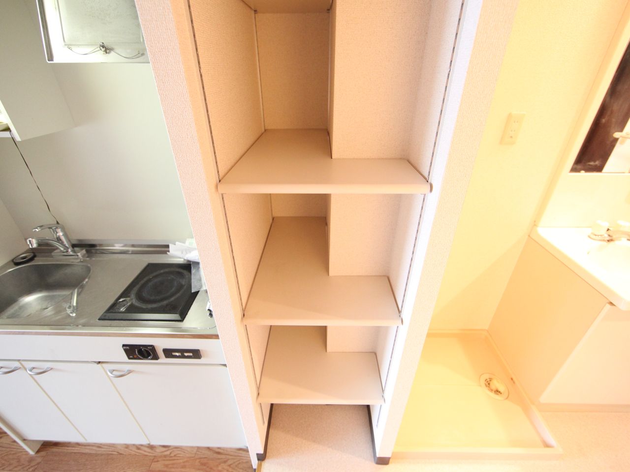 Other. It comes with storage shelves in the kitchen