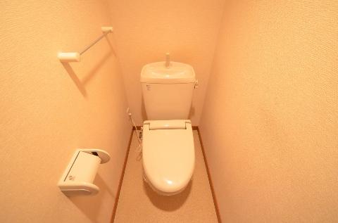 Toilet. WC