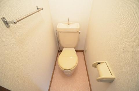 Toilet. WC