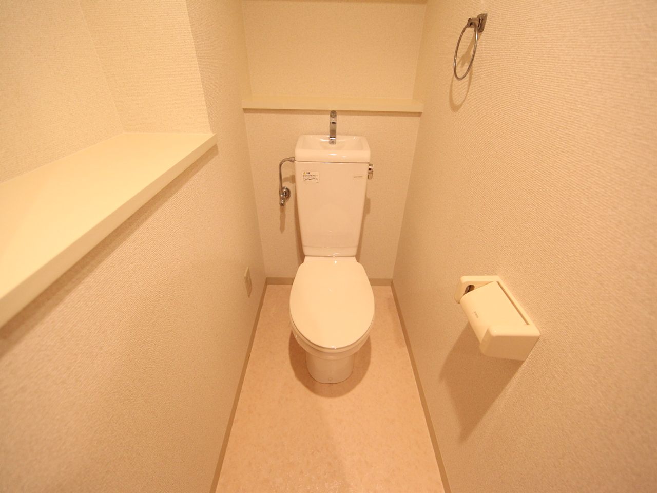 Toilet. Warm water washing toilet seat mounting Allowed toilet