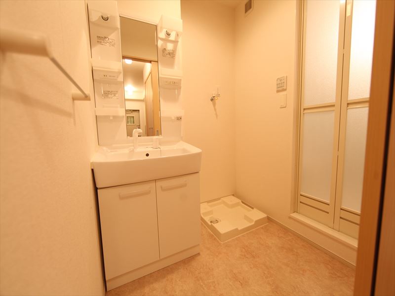 Washroom. Dressing room With shampoo dresser Washing machine Storage