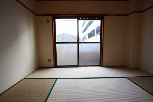 Living and room. Spacious Japanese-style room