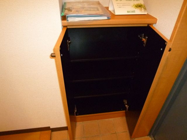 Entrance. Cupboard