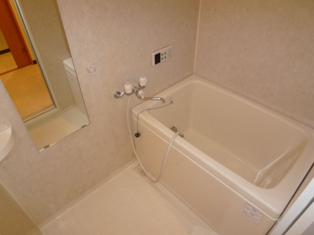 Bath. Reheating function with bathroom