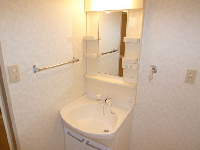 Washroom. With shampoo dresser