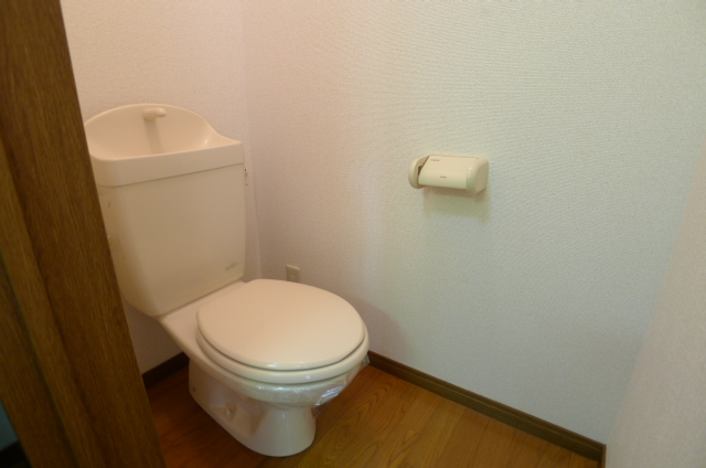 Toilet. Spacious leisurely sit toilet