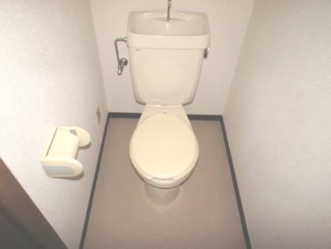 Toilet. WC