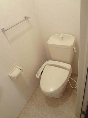 Toilet. Warm water washing toilet seat