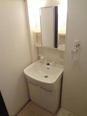 Washroom. Bathroom Vanity