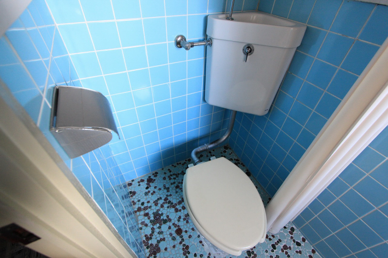 Toilet. Light blue toilet