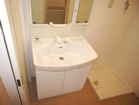 Washroom. Bathroom vanity