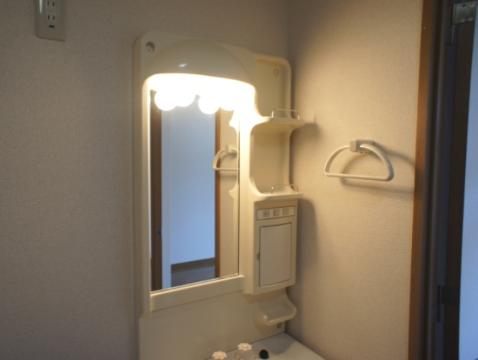 Washroom. Bathroom vanity