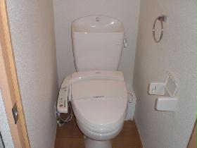 Toilet. toilet Model photo
