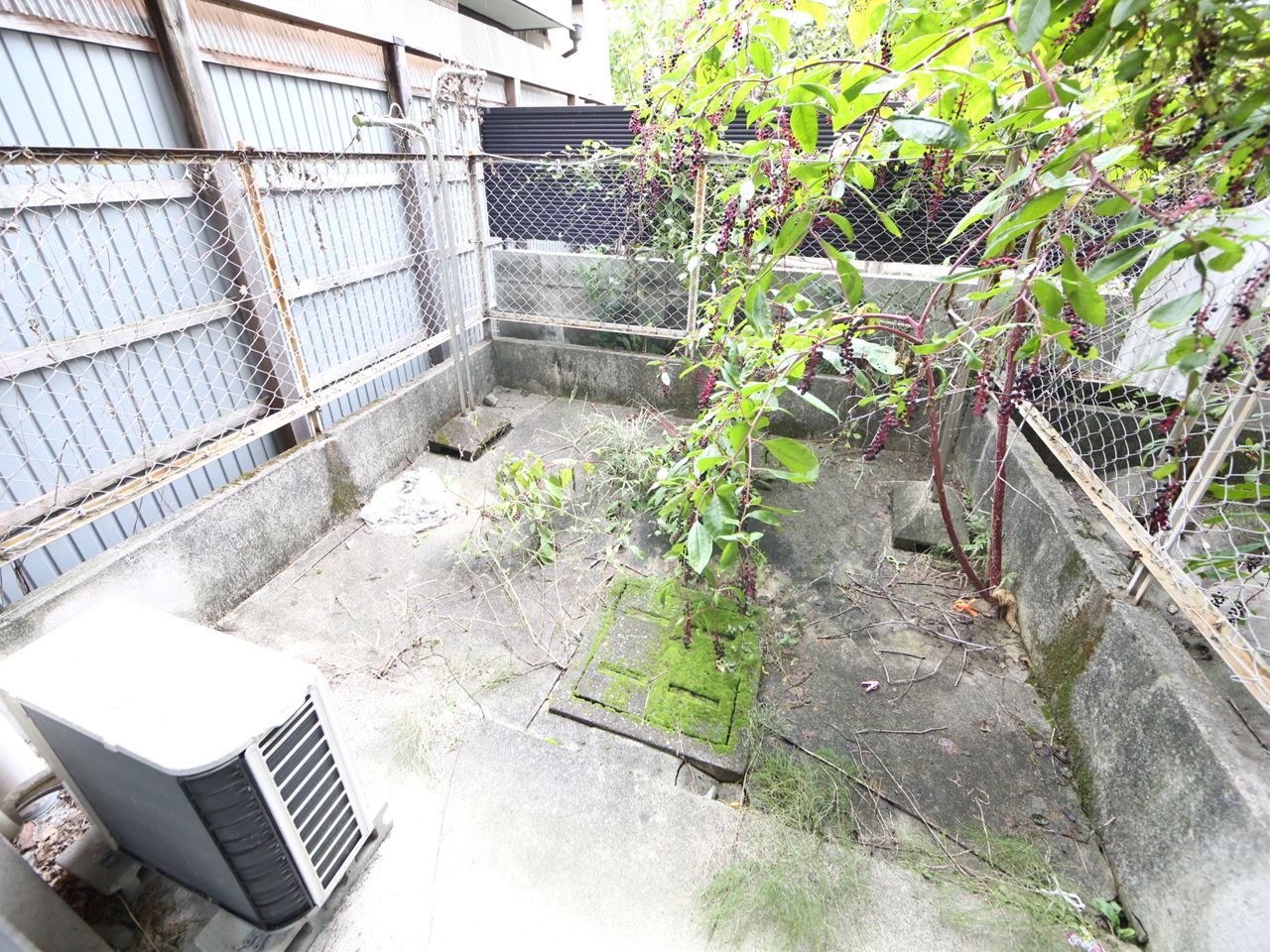 Garden. With garden There Laundry Area