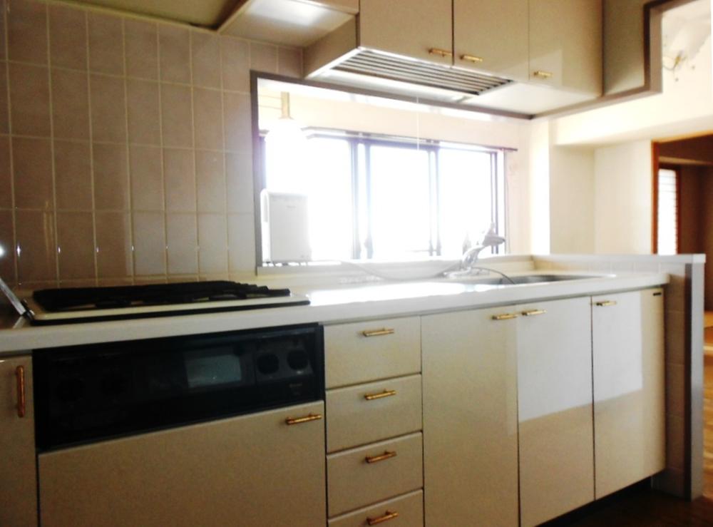 Kitchen. This face-to-face kitchen bouncing of the conversation (August 2013) Shooting