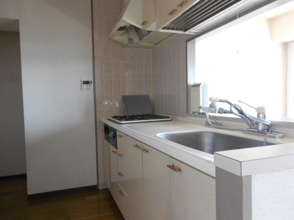 Living. There are water purifier in the wide sink (August 2013) Shooting