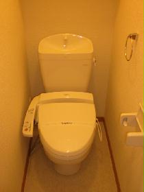 Toilet. Bidet with toilet