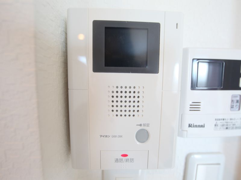 Security. Monitor with intercom