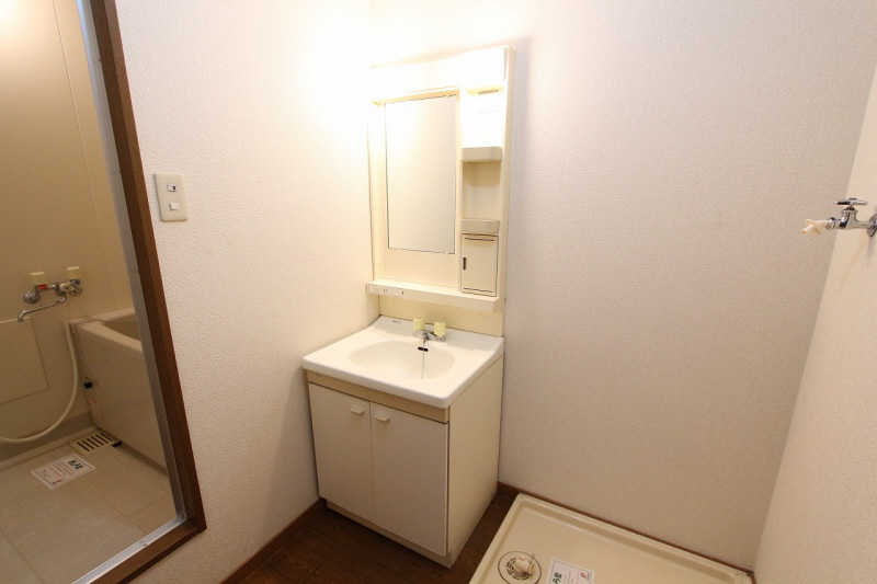 Washroom. Japanese-style calm