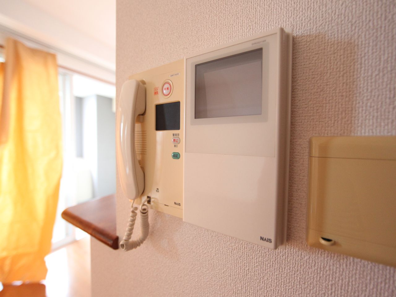 Security. Intercom with TV monitor