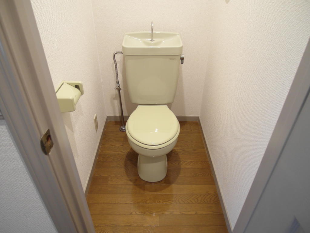 Toilet. It is a toilet with a clean!