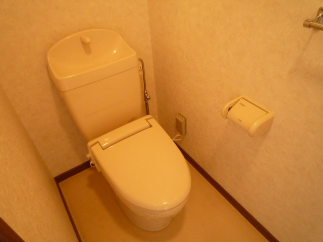 Toilet. It is with a heating toilet seat! 