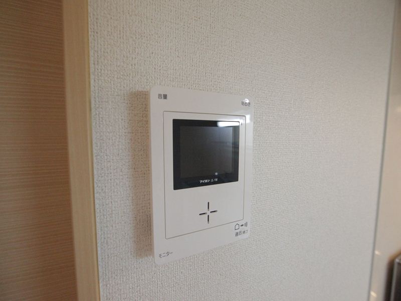 Security. Monitor with intercom