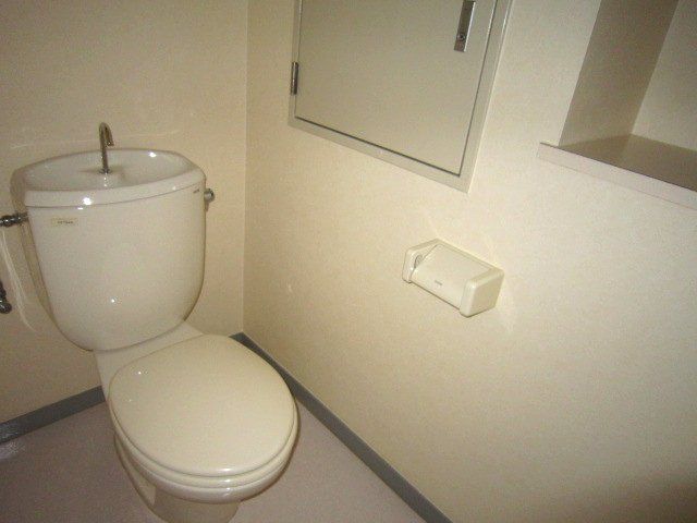 Toilet. Western-style toilet, There shelf