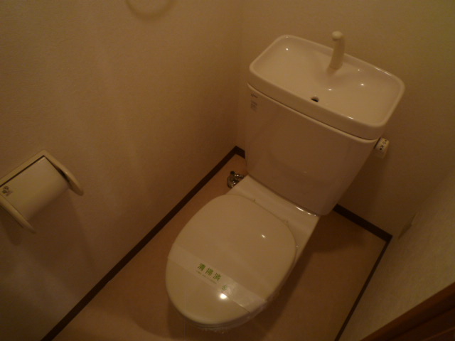 Toilet. Washlet can cope!