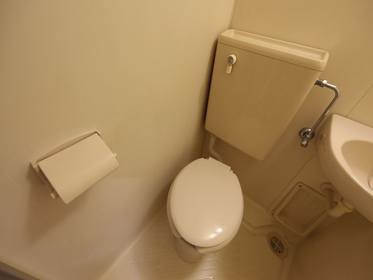 Toilet. Western-style toilet