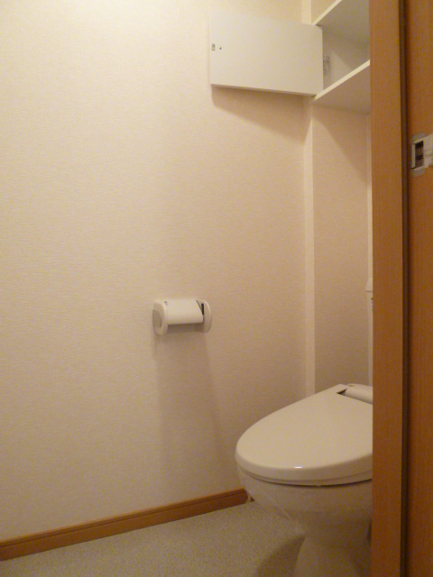 Toilet. Toilet is equipped with cupboard.