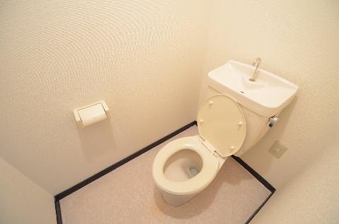 Toilet. WC