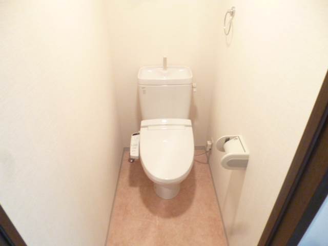 Toilet. Bidet with toilet