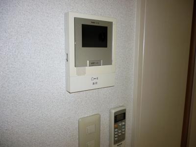 Security. Monitor with intercom