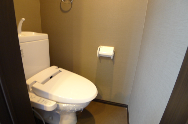 Toilet. Clean Washlet (The photograph is an image)