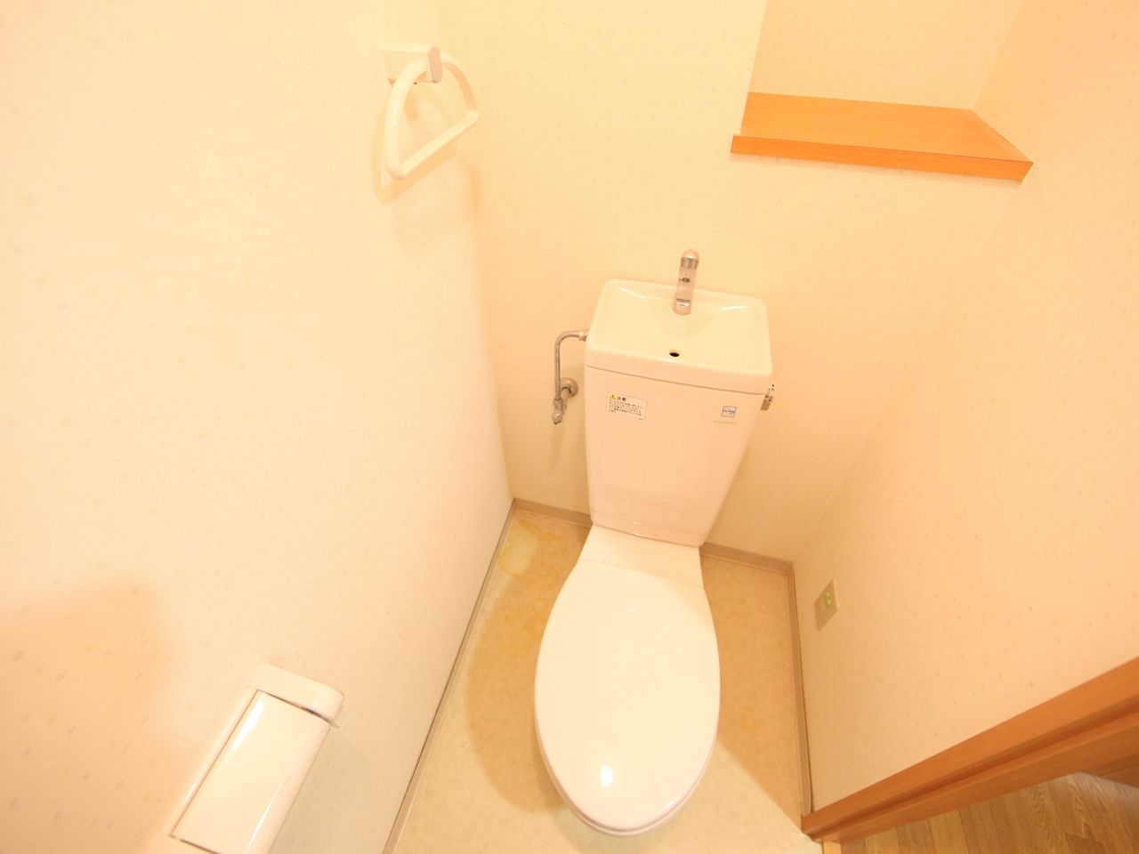 Toilet. toilet With shelf