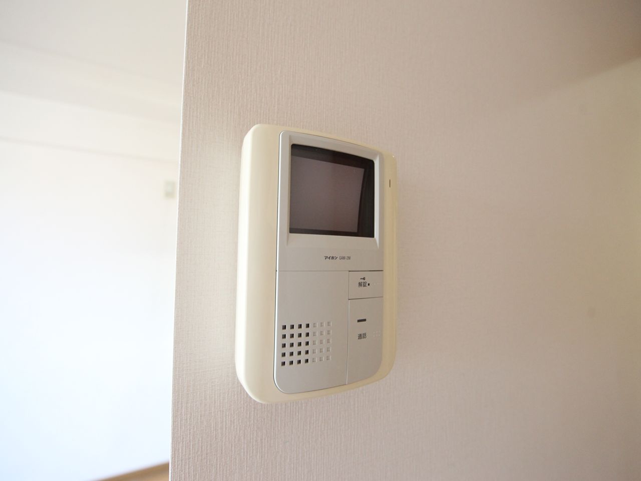 Security. Intercom with TV monitor