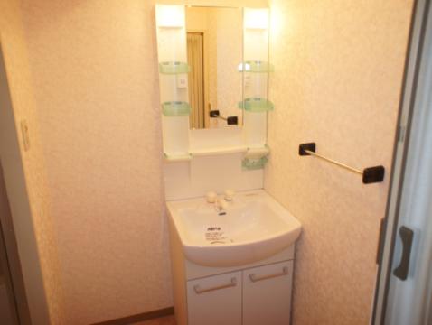 Washroom. Bathroom vanity