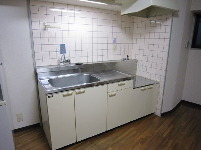 Kitchen. Kitchen sink 2 lot gas stoves is put