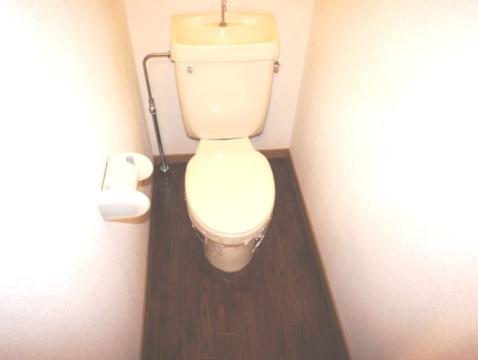 Toilet. WC