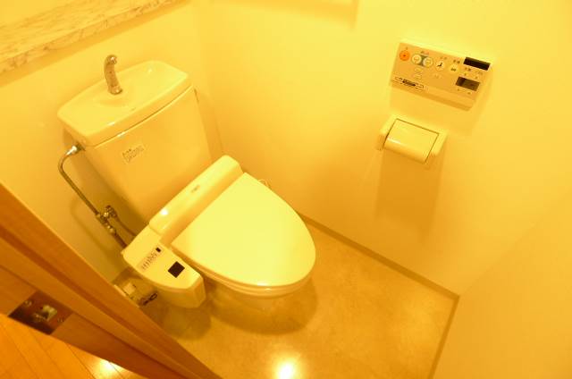 Toilet. It is comfortable with a bidet! 