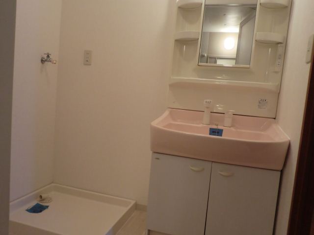 Washroom. Bathroom Vanity