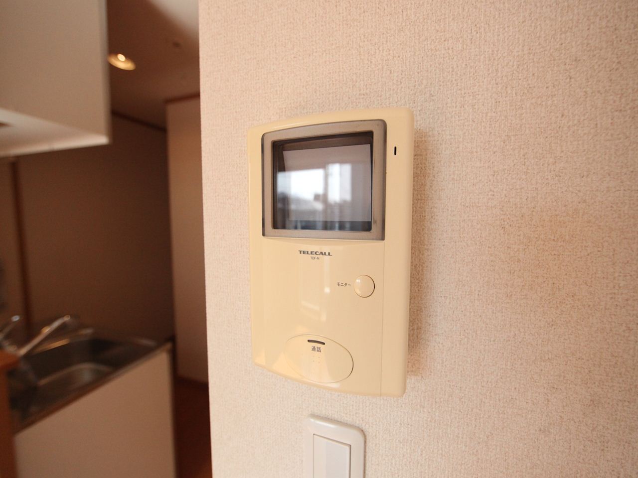 Security. Security Intercom with TV monitor