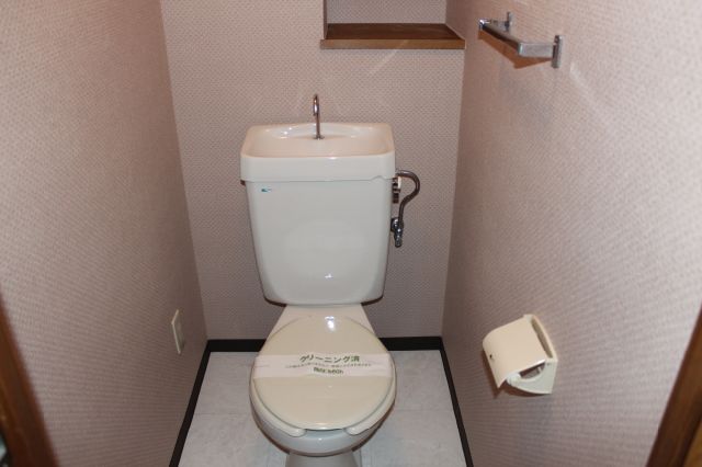 Toilet. It is surprisingly calm down space.