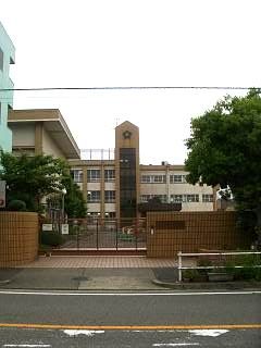 Primary school. Municipal Komeno 50m up to elementary school (elementary school)
