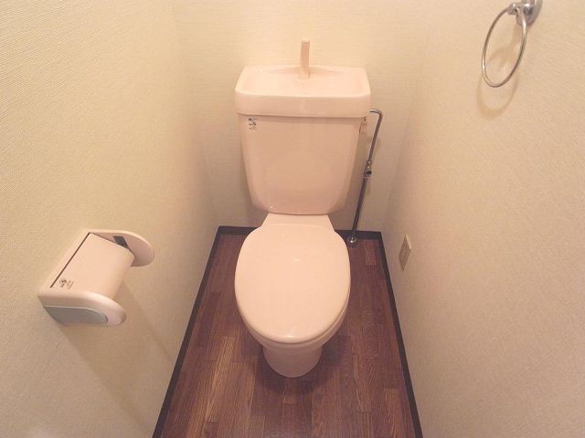 Toilet. It is a toilet with a clean