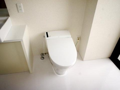 Toilet. Toilet with shower