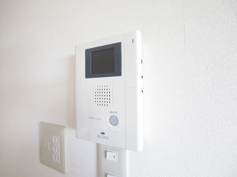 Security. Monitor with intercom
