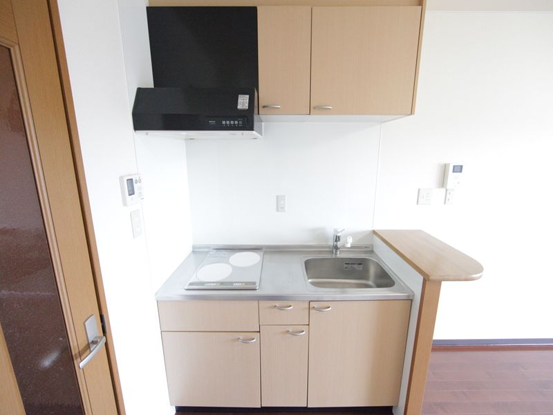 Kitchen. System kitchen (IH stove 2 burners)